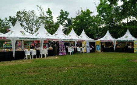 Perubahan Sistem Manual ke Digitalisasi Terhadap Perkembangan UMKM