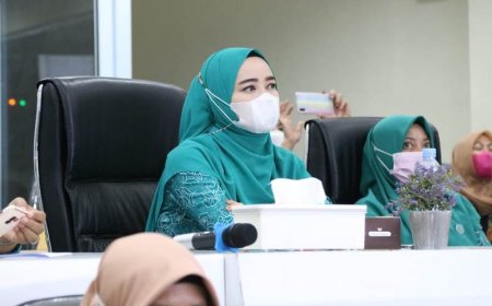 Pengembangan Usaha Mikro Kecil Menengah Dalam Upaya Meningkatkan Keuangan Daerah  Kabupaten Pelalawan
