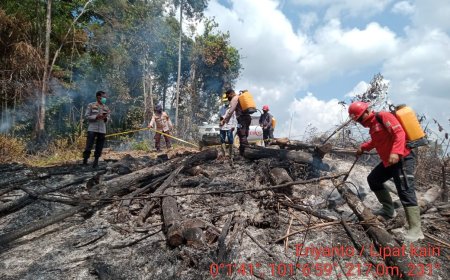 Dua Hari Polsek Kampar Kiri Berjibaku Memadamkan Karhutla