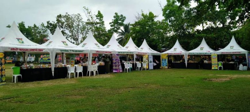 Perubahan Sistem Manual ke Digitalisasi Terhadap Perkembangan UMKM