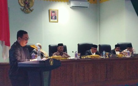 Kritik Soal PAD, THL Dan WTP Saat Fraksi Partai Demokrat Terima RPP APBD 2022 