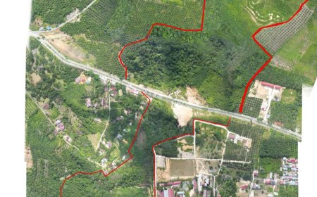 UP Bersinergi dengan BRIN Kembangkan Kebun Raya Pusat Konservasi Di Provinsi Riau