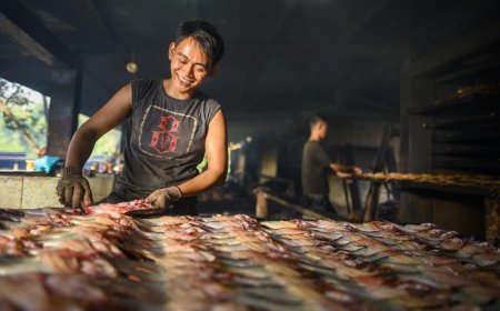 Punya Potensi Perikanan dan Ekowisata, Desa Koto Masjid Binaan PHR Juara 1 Regional Lomba Desa 2023
