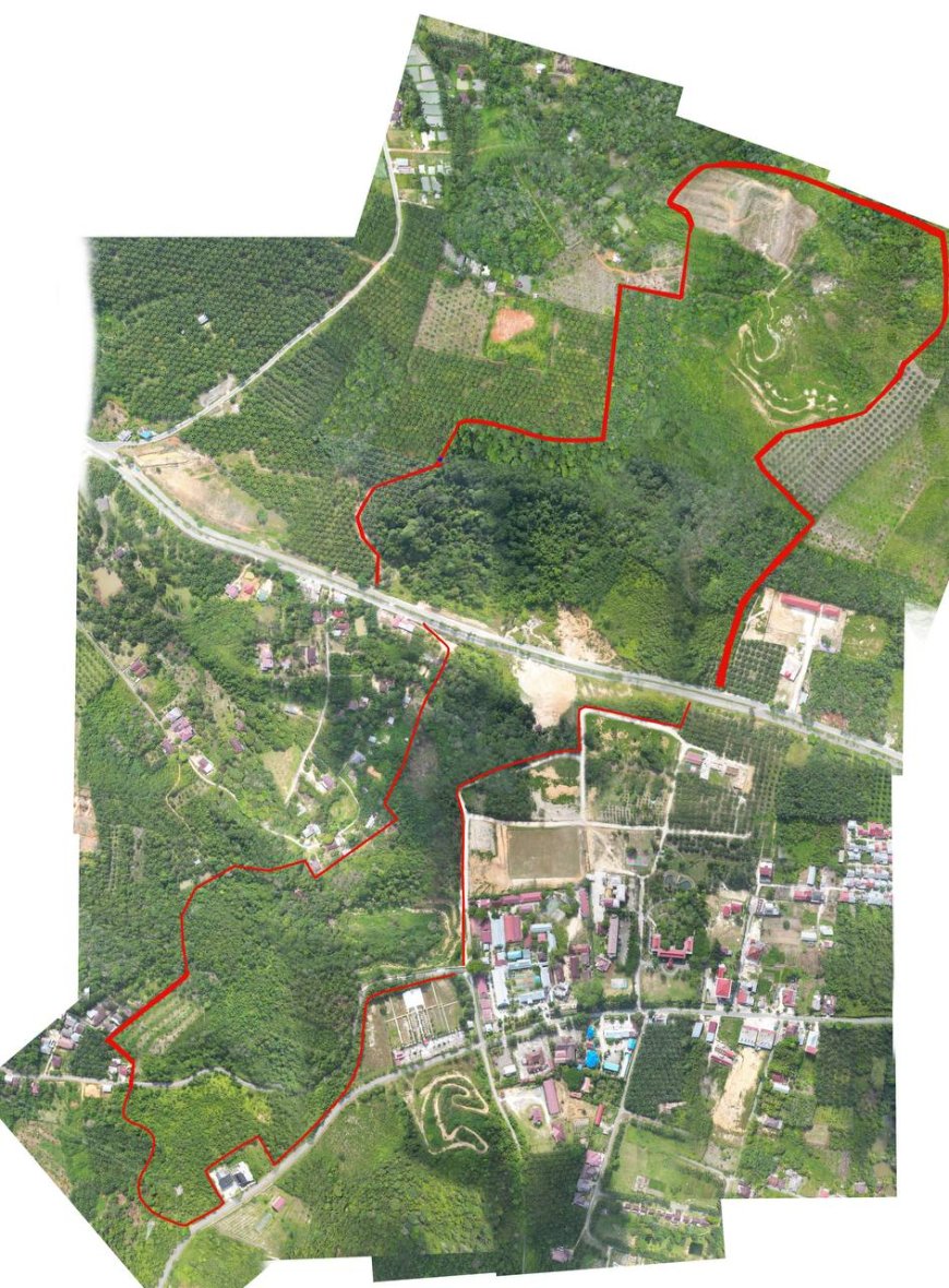 UP Bersinergi dengan BRIN Kembangkan Kebun Raya Pusat Konservasi Di Provinsi Riau