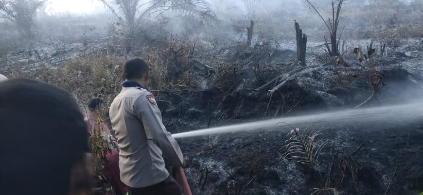 Semak Belukar di Siak Hulu Terbakar, Tim Bergerak Cepat Melakukan Pemadaman