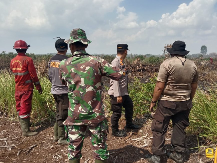 Lahan Gambut Terbakar di Desa Karya Indah, AKBP Ronald Langsung Tinjau Pemadaman Karhutla