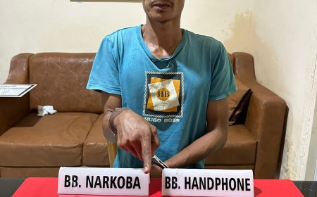 Asyik Berdiri di Pohon Kelapa Sawit, Warga Teluk Paman Ditangkap