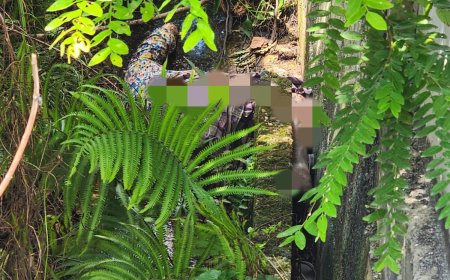 Sempat Hilang 4 Hari, Nenek Baanin Akhirnya ditemukan Dalam Parit