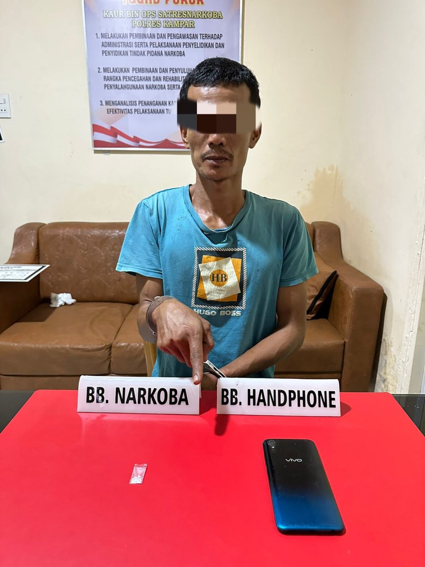 Asyik Berdiri di Pohon Kelapa Sawit, Warga Teluk Paman Ditangkap