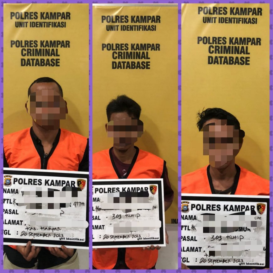 Tim Macan Polres Kampar Tangkap 3 Pelaku Judi Togel di Desa Kuapan
