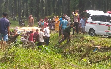 Diduga Tersengat Listrik, Karyawan Panen PT Ramajaya Pramukti Tewas