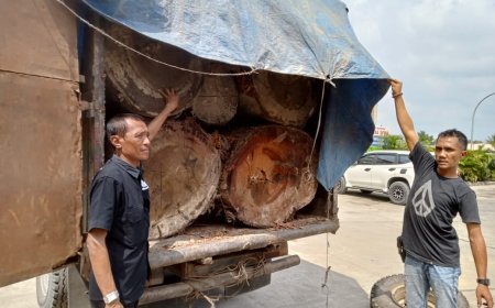 13 Tual Kayu Ilegal Logging Tak Bertuan di Amankan Polsek Kampar Kiri