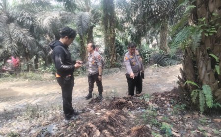 Polsek Siak Hulu Olah TKP Kasus Pembunuhan di Kebun Sawit