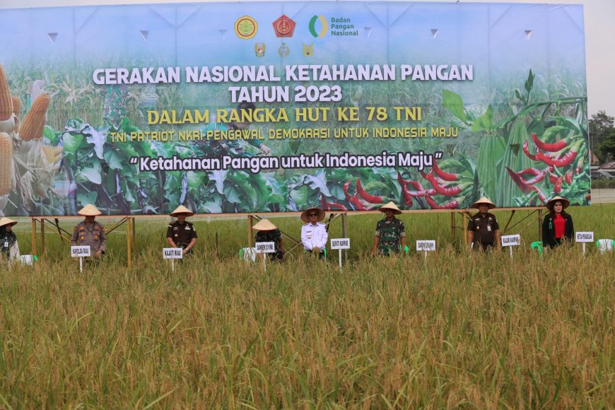 Danrem 031/WB Bersama Pj Bupati Kampar Panen Padi GNKP 2023