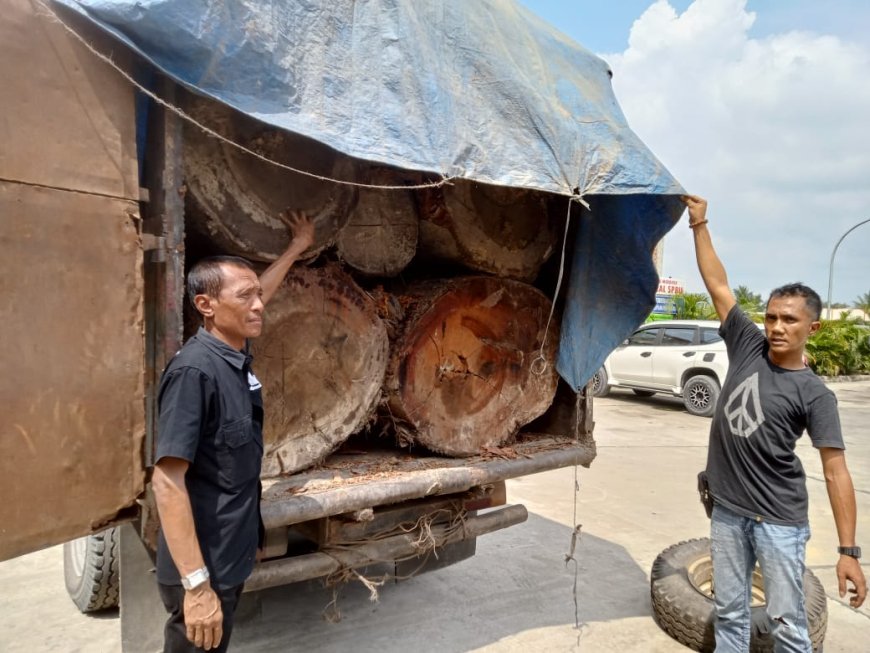 13 Tual Kayu Ilegal Logging Tak Bertuan di Amankan Polsek Kampar Kiri