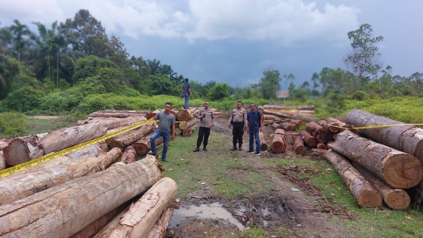 215 Tual Kayu Ilegal Logging Ditemukan Tidak Bertuan di Desa Kuntu Darussalam