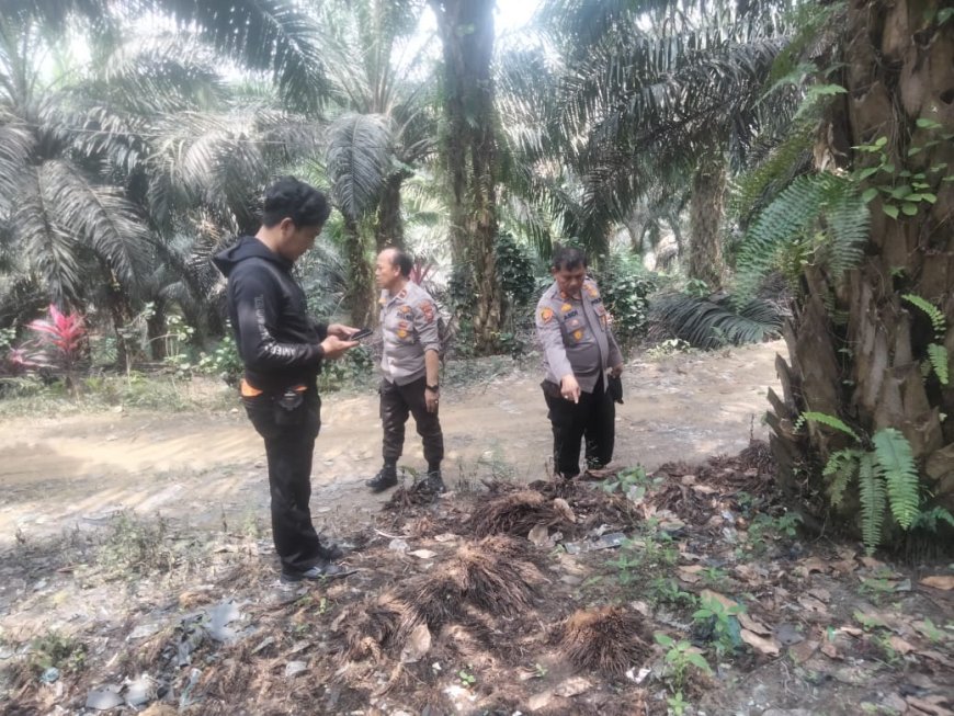 Polsek Siak Hulu Olah TKP Kasus Pembunuhan di Kebun Sawit