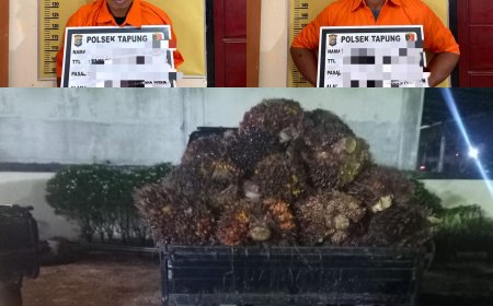 Tertangkap Tangan, Dua Pelaku Pecuri Tandan Buah Kelapa Sawit di Kerangkeng