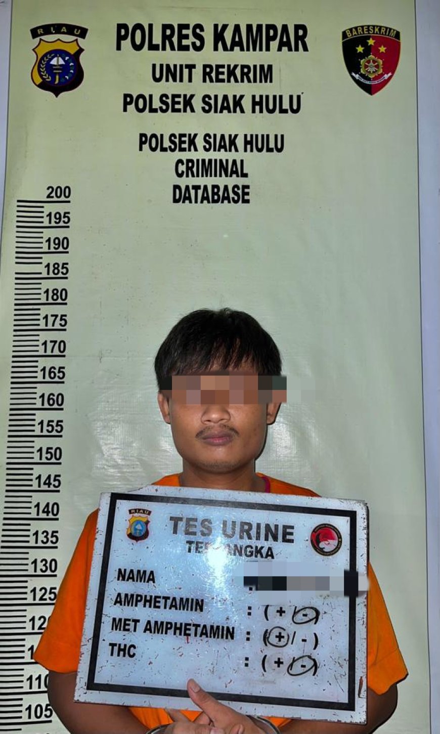 Lagi, Polsek Siak Hulu Grebek Rumah Pengedar Narkoba di Desa Pandau Jaya