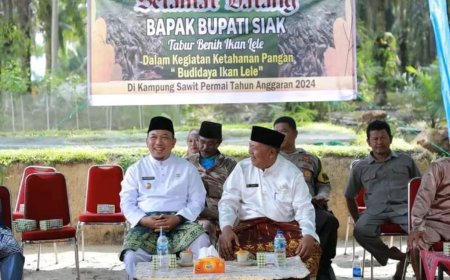 Wabup Siak Husni Merza Sebar Bibit Lele Untuk 25 Kolam Di Kampung Sawit Permai 