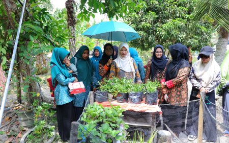 Manfaatkan Pekarangan Rumah, TP PKK Kabupaten Siak Gelar Lomba Aku Hatinya PKK