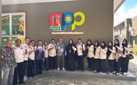 DPMPTSP Rohil Intip MPP Kampar