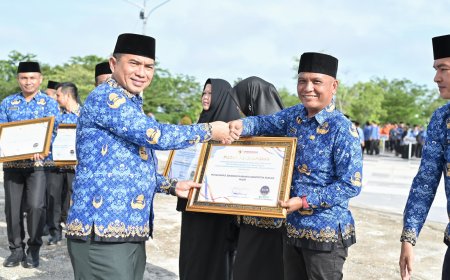 Ombudsman RI Serahkan Penghargaan Untuk Empat OPD dan Dua Puskesmas Di Rohil