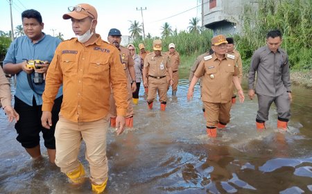 Bupati Rohil Telusuri Beberapa Ruas Jalan Yang Banjir Akibat  Air Pasang Rob dan Hujan