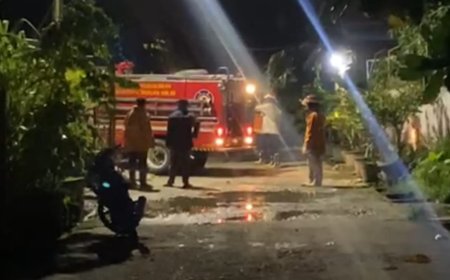 Ribuan Prajurit Tawon dan Sarang Tebuan Dibakar Damkar Rohil
