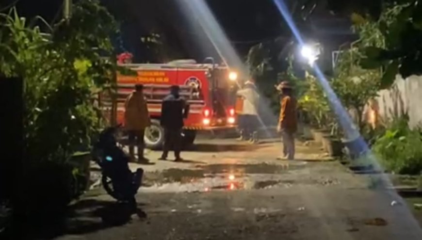 Ribuan Prajurit Tawon dan Sarang Tebuan Dibakar Damkar Rohil