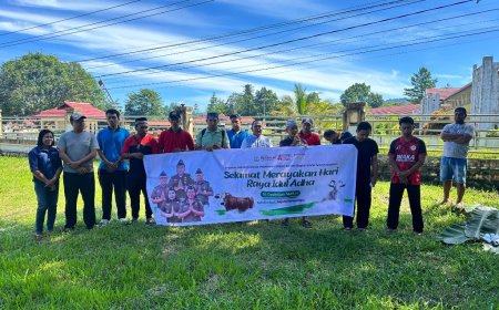 Kejari SBB Maluku Berkurban Tiga Ekor Sapi