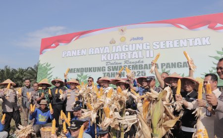 Wako Pekanbaru Vidcon Panen Raya Jagung Serentak se-Indonesia Bersama Presiden RI