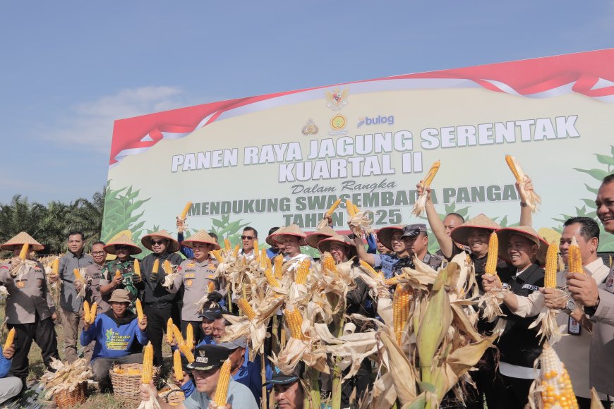Wako Pekanbaru Vidcon Panen Raya Jagung Serentak se-Indonesia Bersama Presiden RI