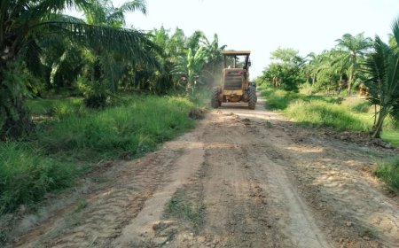 Pj. Penghulu Teluk Pulau Hilir Dengan PT. GMR Bekerjasama Perbaiki Beberapa Ruas Jalan  Yang Rusak