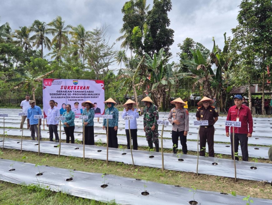 Kajari SBB Hadiri Gerakan Tanam Cabai Serempak se-Provinsi Maluku