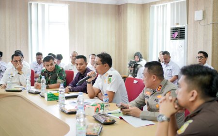 Status Siaga Darurat Karhutla Pemkab Rohil Resmi Ditetapkan