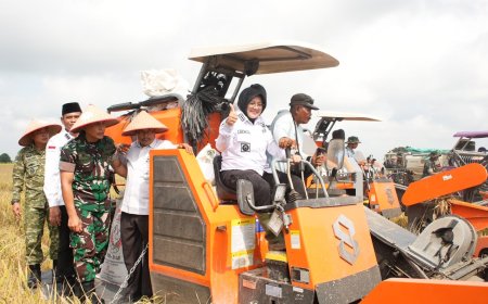 Panen Perdana Padi Zakat Produktif di Siak, Mustahik Didorong Menjadi Petani Mandiri