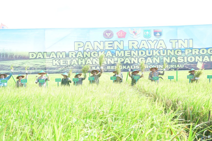 Hadiri Panen Raya TNI Wabup Bengkalis Perkuat Ketahanan Pangan