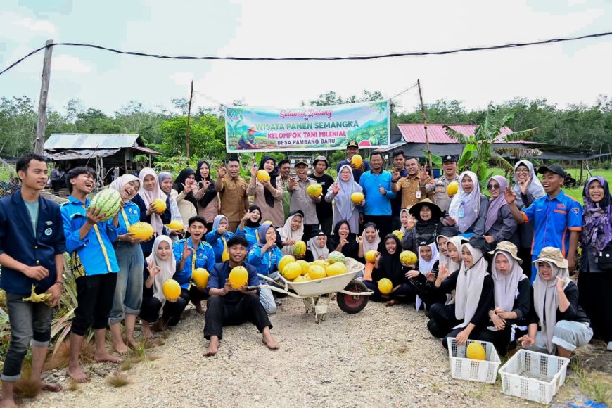 Panen Semangka Milenial Wabup Bengkalis Dorong Sinergi Pertanian Modern