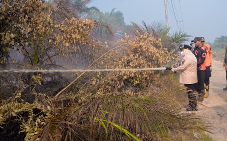 Bupati Bengkalis Bersama TNI-Polri Peninjauan Langsung Lokasi Karhutla