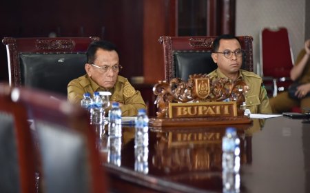 Percepat Digitalisasi Perlinsos Bupati Rohil Gelar Rakor Daring