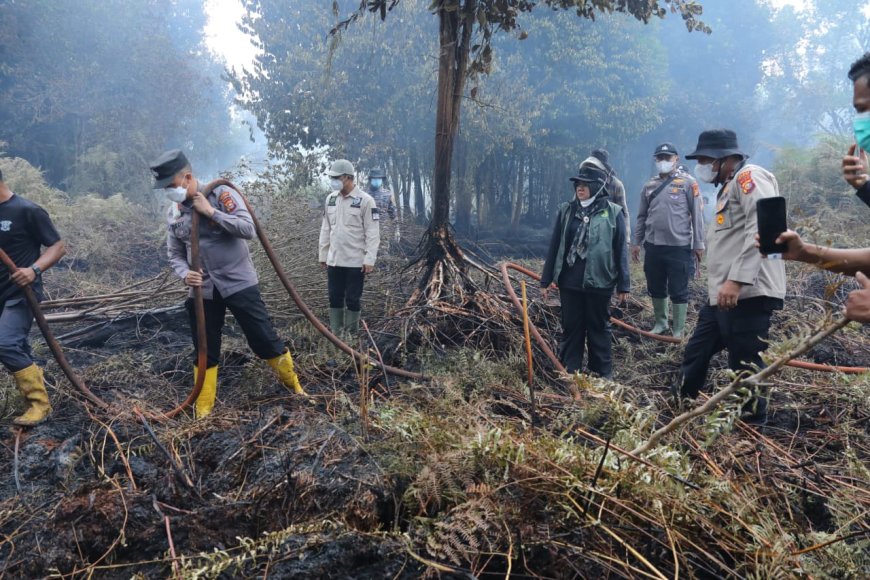 Bupati Siak Tetap Urus Karhutla Sembari Pendidikan di Lemhannas