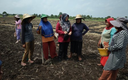 Petani Teluk Lanus Keluhkan Irigasi, Ratusan Hektare Lahan Tak Bisa Digarap