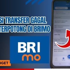 Pahami Penyebab dan Cara Mengatasi Transaksi Gagal di BRImo